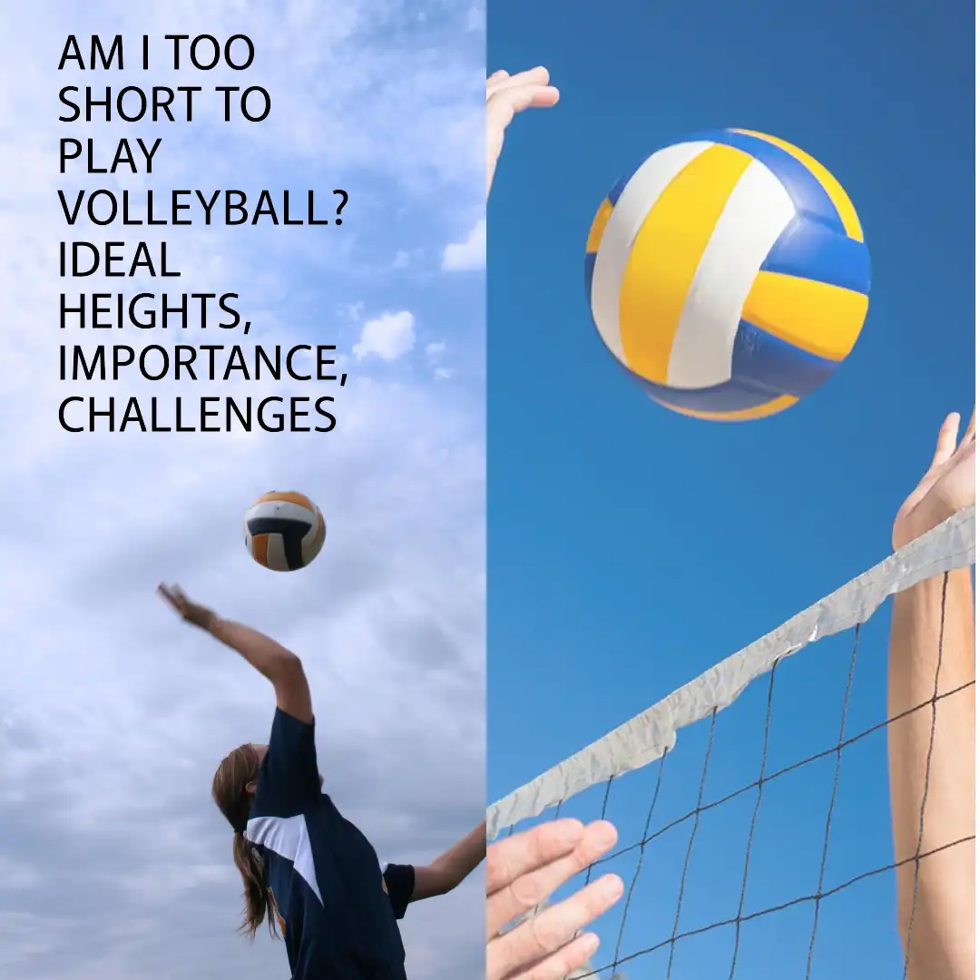 Am I too short to play volleyball? Ideal Heights, Importance, Challenges