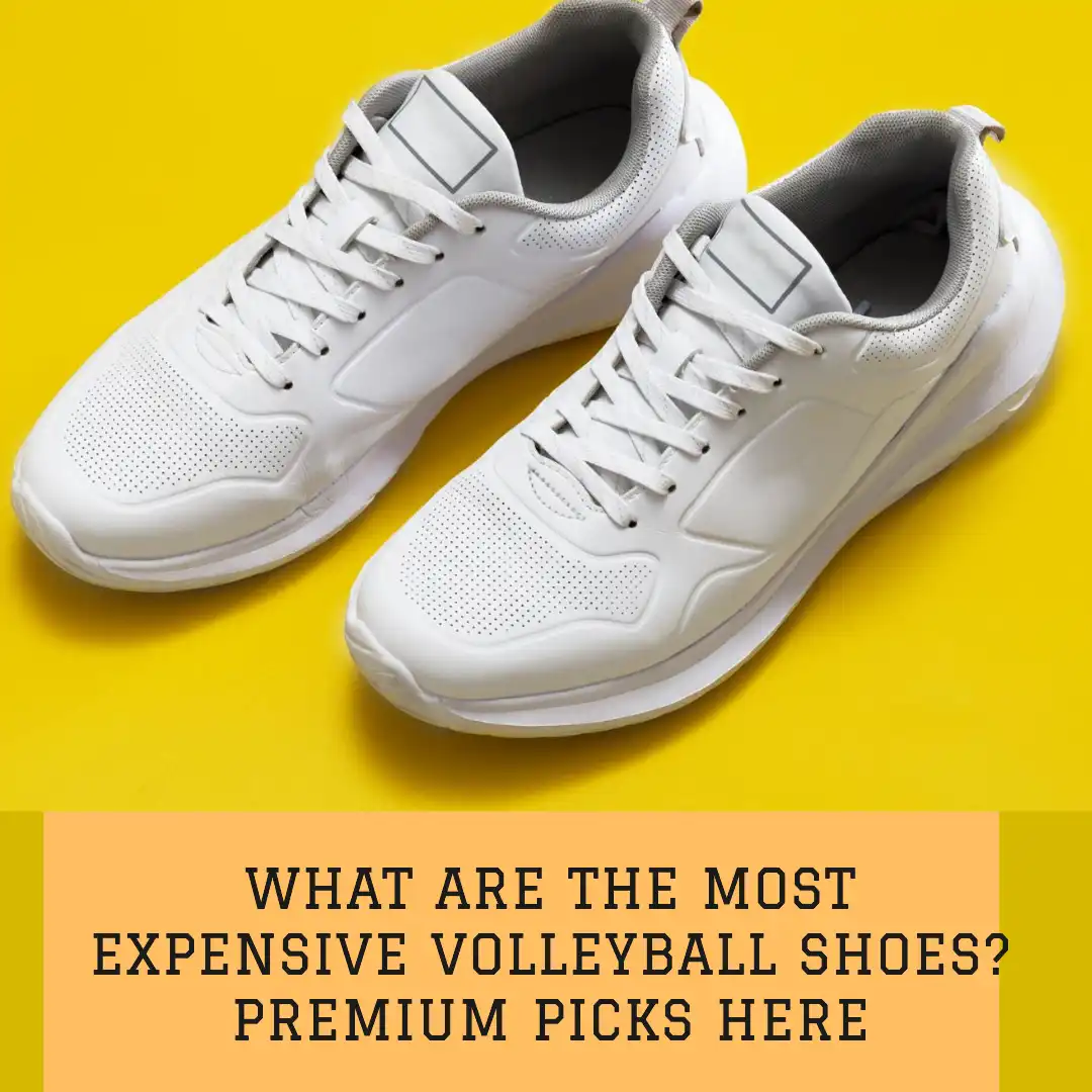 5 Most Expensive Volleyball Shoes: Buying Guide, Pros & Cons